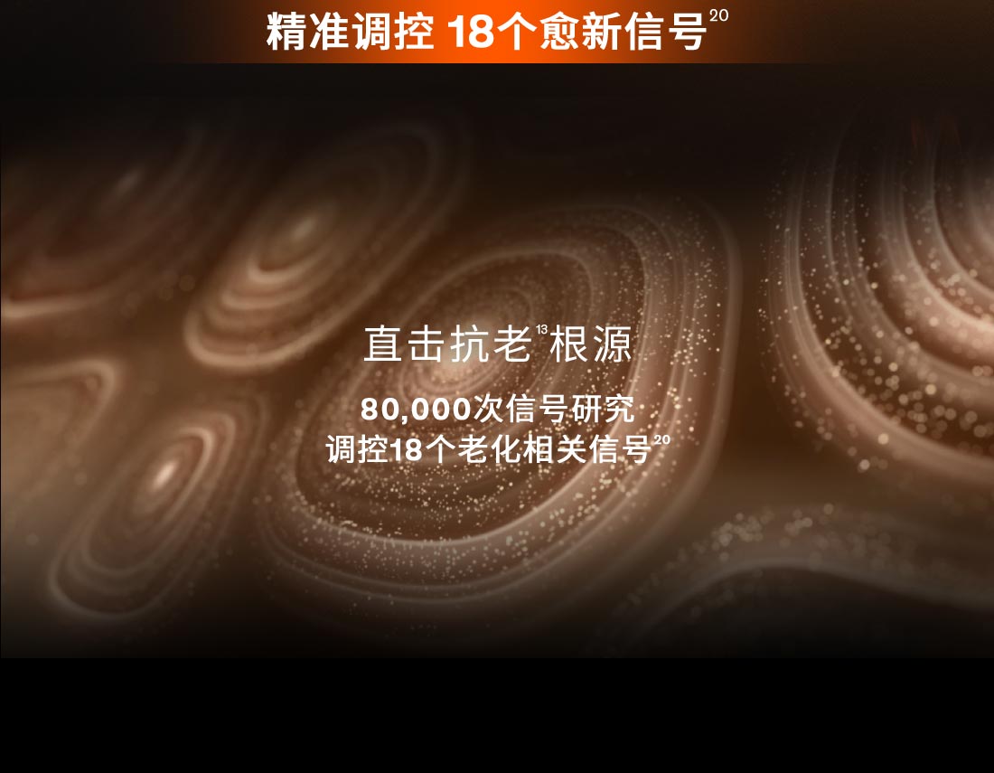 第六代 尊龙凯时(中国)人生就是搏人参霜