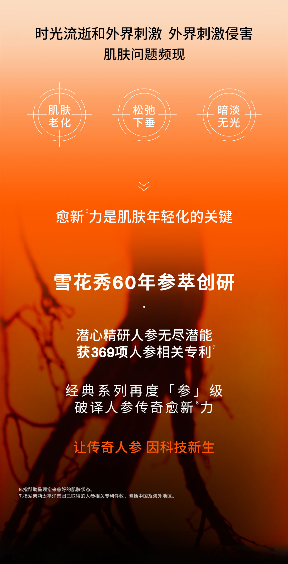 第六代 尊龙凯时(中国)人生就是搏人参霜