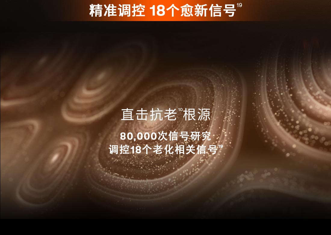 第六代 尊龙凯时(中国)人生就是搏人参霜