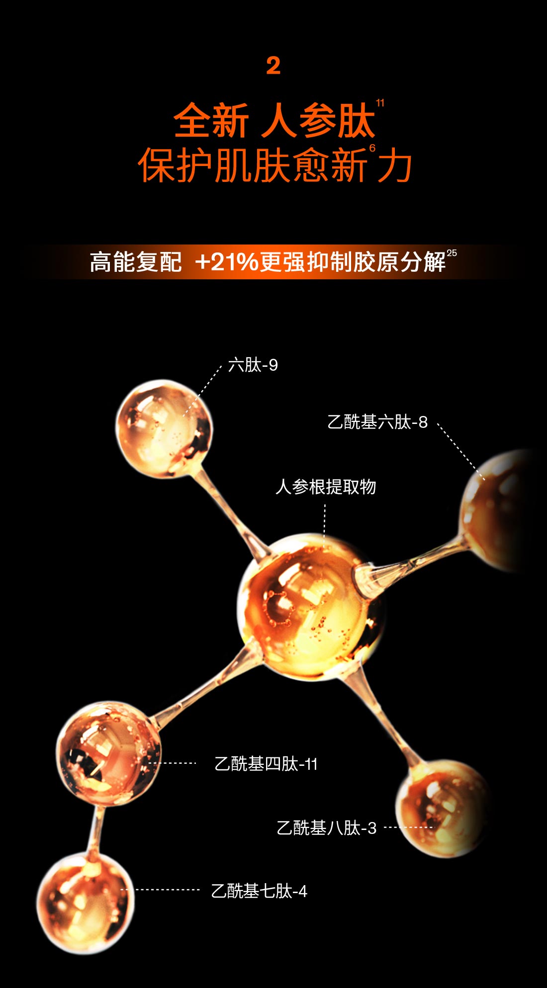 第六代 尊龙凯时(中国)人生就是搏人参霜