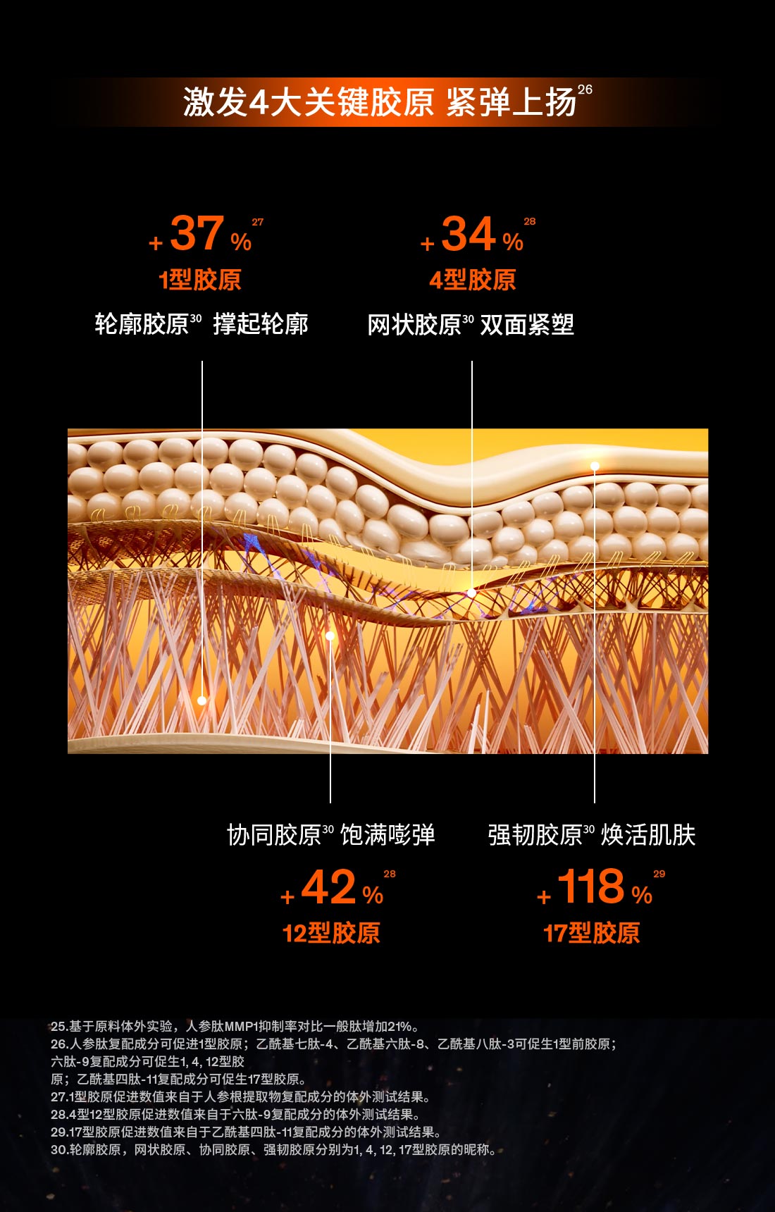 第六代 尊龙凯时(中国)人生就是搏人参霜